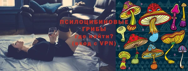 spice Михайлов