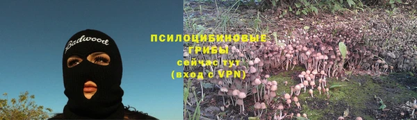 spice Михайлов
