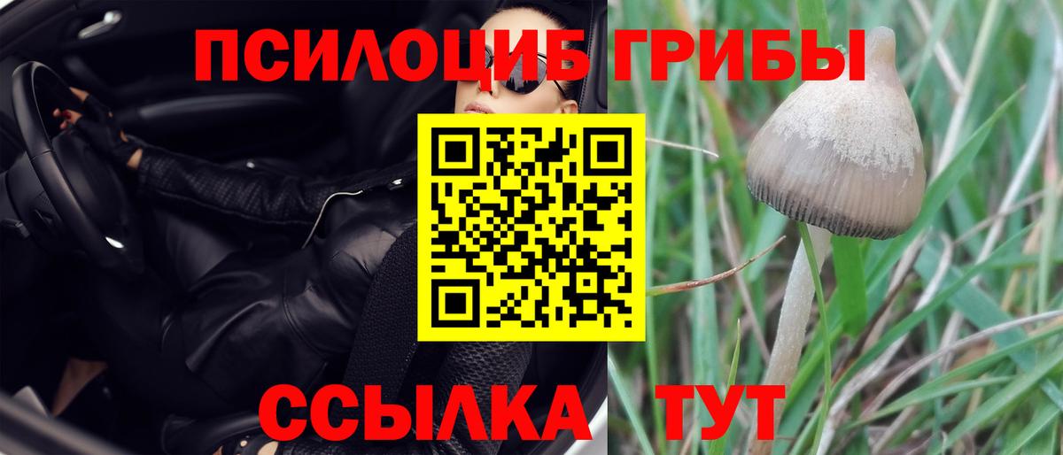 Псилоцибиновые грибы мухоморы  Галлюциногенные грибы Psilocybe  Вход с VPN  Новомосковск 