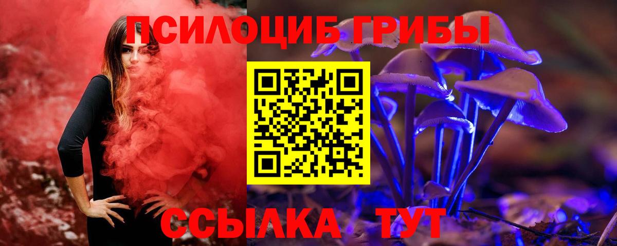 Псилоцибиновые грибы мухоморы Новомосковск